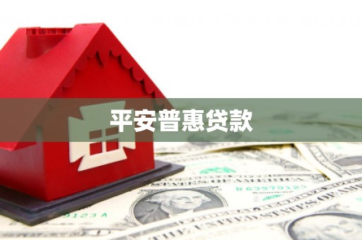 武功平安普惠贷款