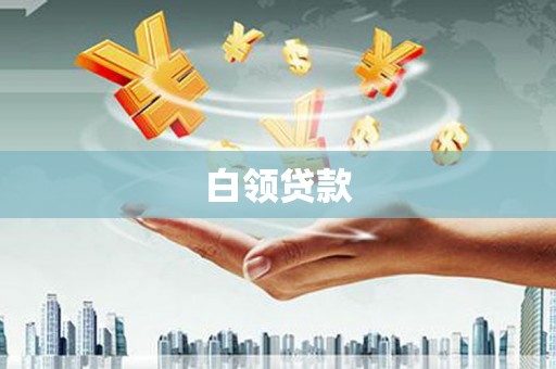 武功白领贷款