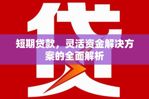武功短期贷款，灵活资金解决方案的全面解析