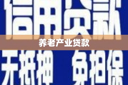 武功养老产业贷款