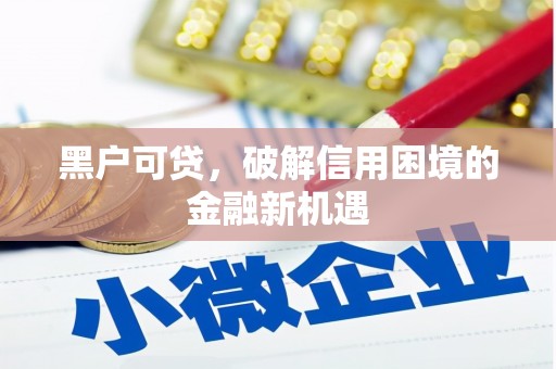 武功黑户可贷，破解信用困境的金融新机遇