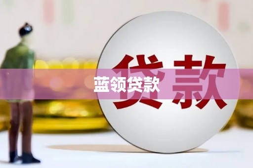 武功蓝领贷款