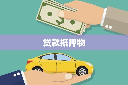武功贷款抵押物