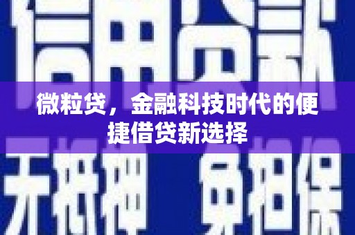 武功微粒贷，金融科技时代的便捷借贷新选择