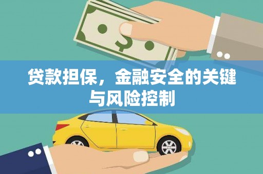 武功贷款担保，金融安全的关键与风险控制