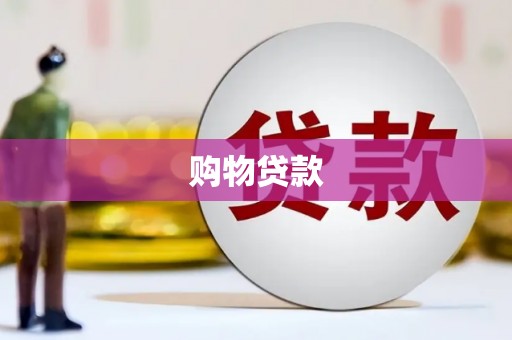 武功购物贷款