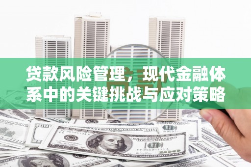 武功贷款风险管理，现代金融体系中的关键挑战与应对策略