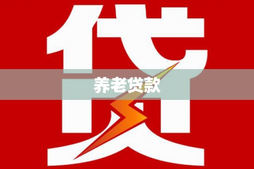 武功养老贷款