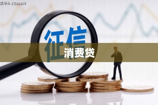 武功消费贷