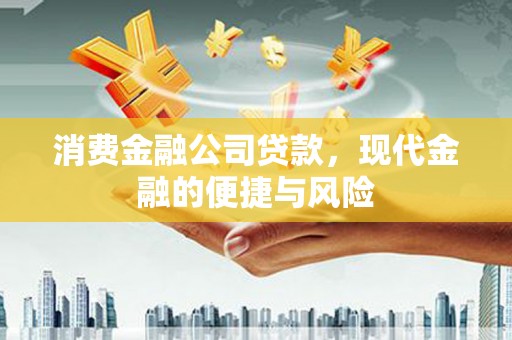 武功消费金融公司贷款，现代金融的便捷与风险