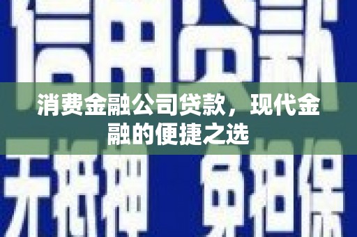 武功消费金融公司贷款，现代金融的便捷之选