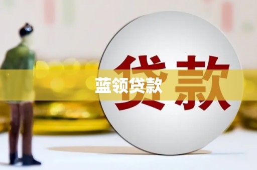 武功蓝领贷款