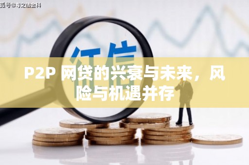 武功P2P 网贷的兴衰与未来，风险与机遇并存