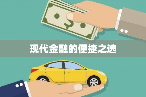武功现代金融的便捷之选