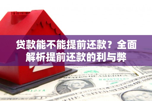 武功贷款能不能提前还款？全面解析提前还款的利与弊