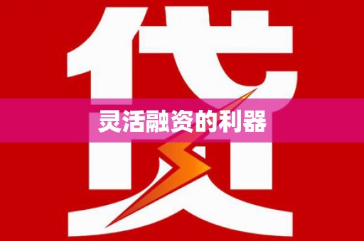 武功灵活融资的利器