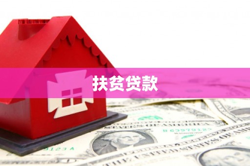武功扶贫贷款