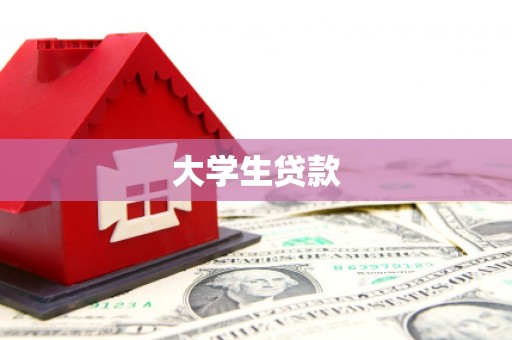 武功大学生贷款